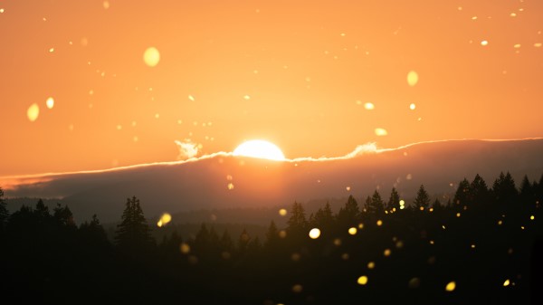 Sun Flare Sunlight Wallpaper