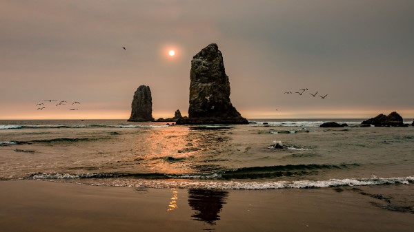 Sun Rocks Beach Wallpaper