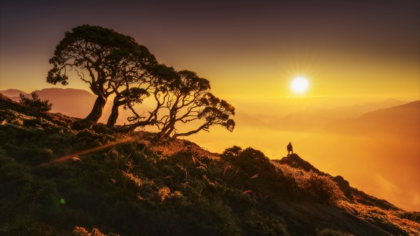Sun Silhouette Hill Wallpaper