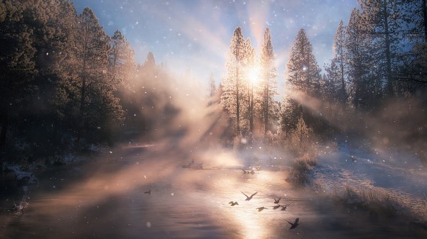 Sunbeam Wallpaper