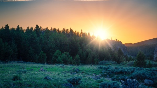 Sunrise Forest Mountains Wallpaper