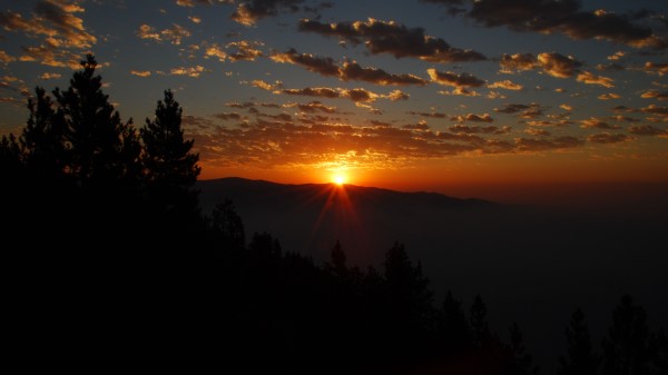 Sunrise Horizon Trees Wallpaper