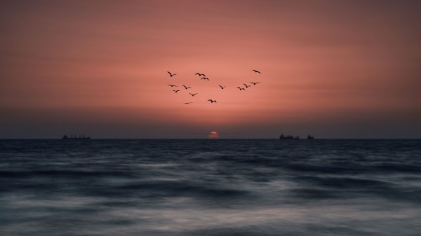 Sunset Birds Sun Wallpaper