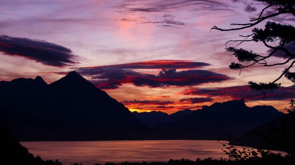Sunset Branches Sky Wallpaper