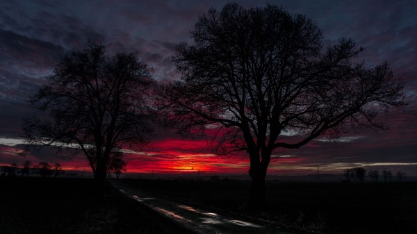 Sunset Clouds Trees Image Wallpaper