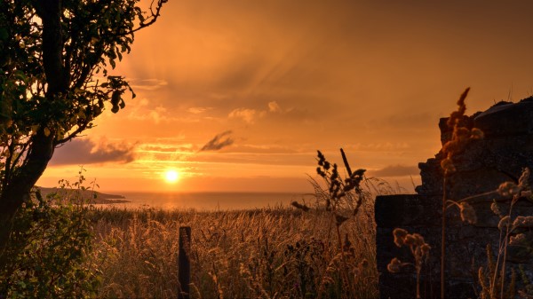 Sunset Coast Grass Wallpaper