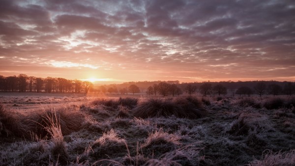 Sunset Dusk Landscape Wallpaper