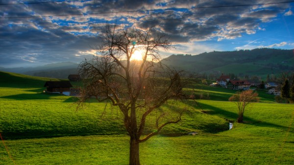 Sunset Field Stream Landscape Wallpaper