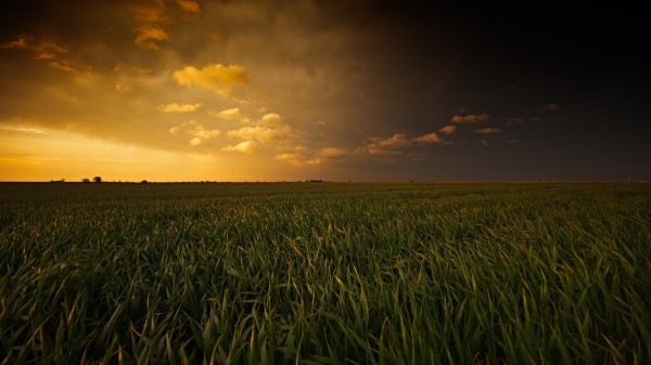 Sunset Fields Wide Wallpaper