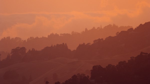 Sunset Hills Trees Image Wallpaper