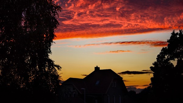 Sunset House Trees Wallpaper