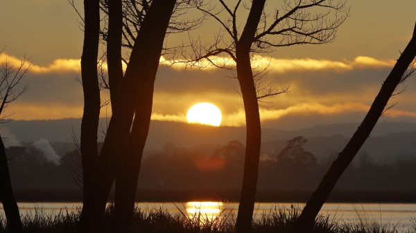 Sunset River Trees Image Wallpaper