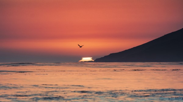 Sunset Sea Horizon H Wallpaper