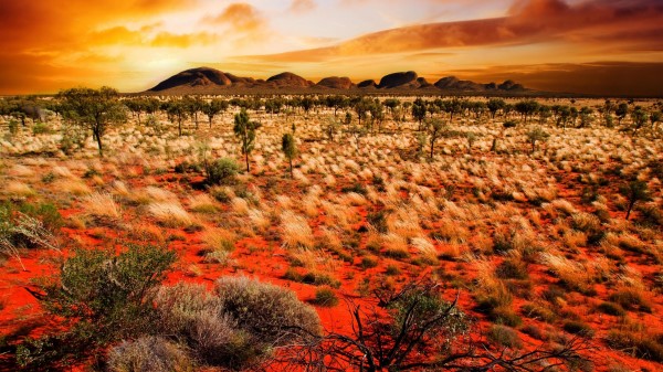 Sunset Shroud Nature Wallpaper