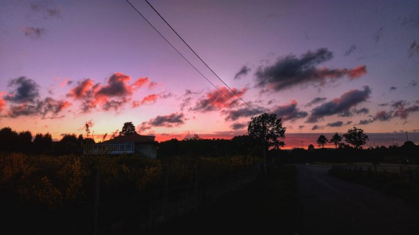 Sunset Sky Road Trees Wallpaper