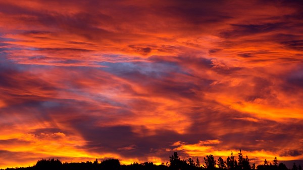 Sunset Sky Trees wallpaper