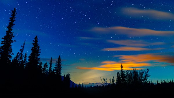 Sunset Spruce Trees Wallpaper