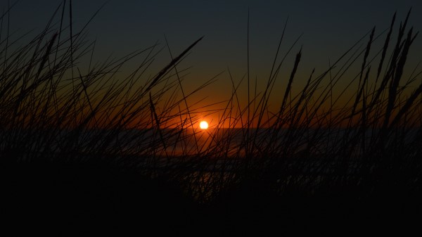 Sunset Sun Grass Wallpaper