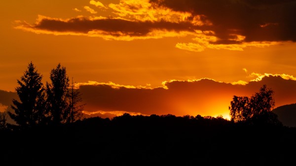 Sunset Sun Trees Image Wallpaper
