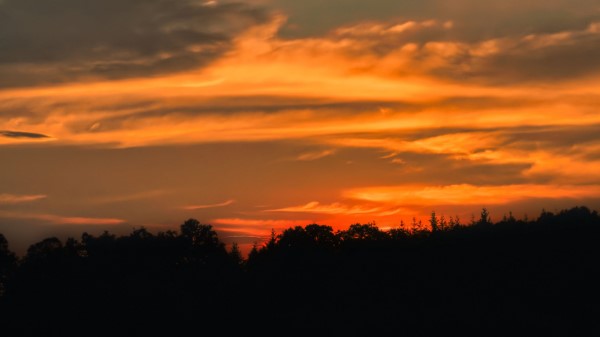 Sunset Tree Horizon H wallpaper