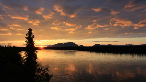 Sunset Tree Horizon Image Wallpaper