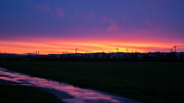 Sunset Trees Building Sky Wallpaper