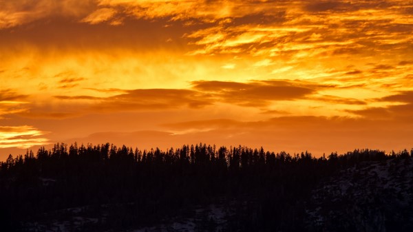 Sunset Trees Silhouette Image Wallpaper