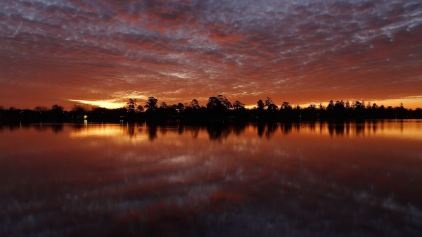Sunset Trees Water Wallpaper