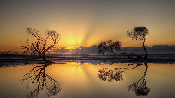 Sunset Trees Water Reflection Wallpaper