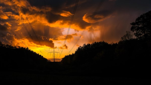 Sunset Trees Wires Wallpaper