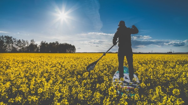 Surfer Field Flowers Wallpaper