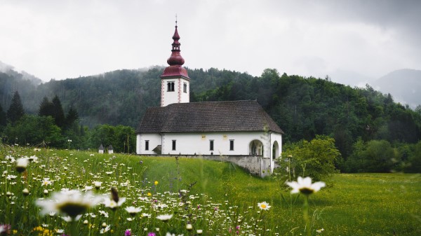 Temple Field Flowers Wallpaper