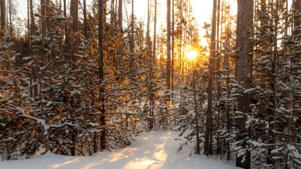 The Sun Rays Snow Wallpaper