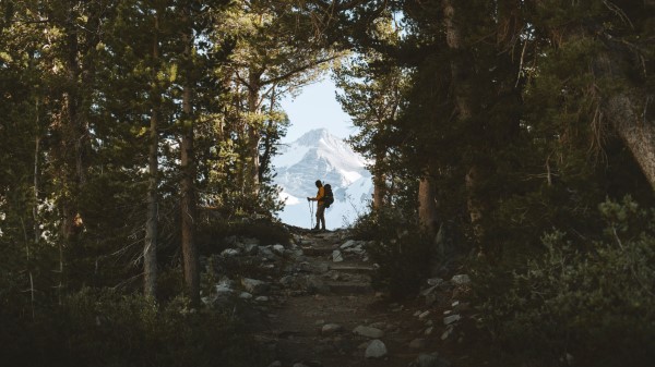 Tourist Silhouette Forest Wallpaper