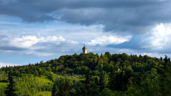 Tower Building Trees Wallpaper