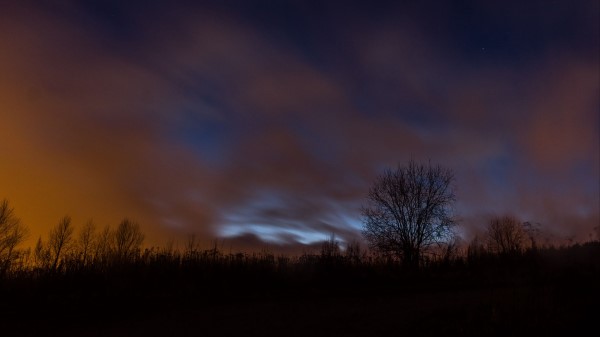 Tree Fog Clouds Wallpaper