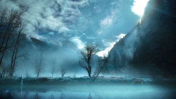 Tree Fog Mountains Wallpaper