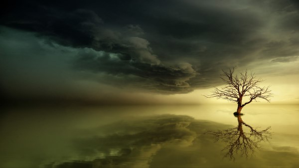 Tree Lonely Reflection Wallpaper