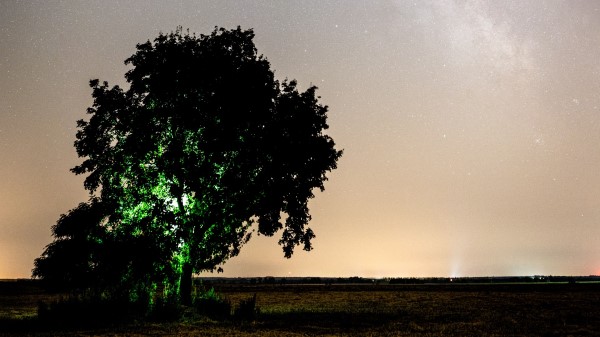 Tree Night Starry Sky Wallpaper