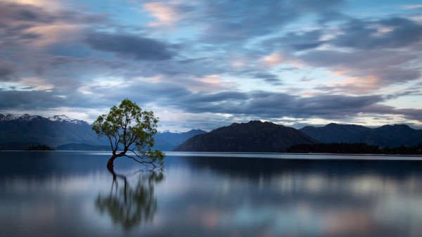 Tree Reflection Lake Wallpaper