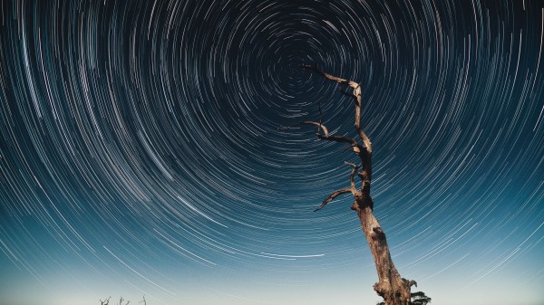 Tree Starry Sky Long Exposure Wallpaper