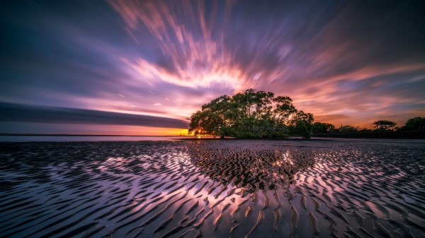 Tree Sunrise Water Colorful Wallpaper