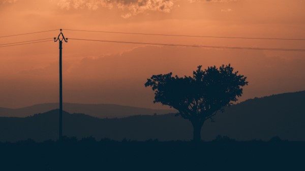 Tree Sunset Column Wires Wallpaper
