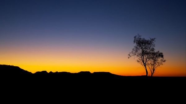 Tree Sunset Horizon H wallpaper