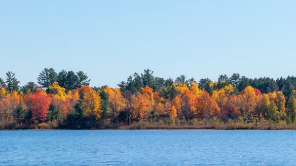 Trees Autumn River Wallpaper