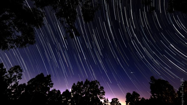 Trees Branches Night Image Wallpaper