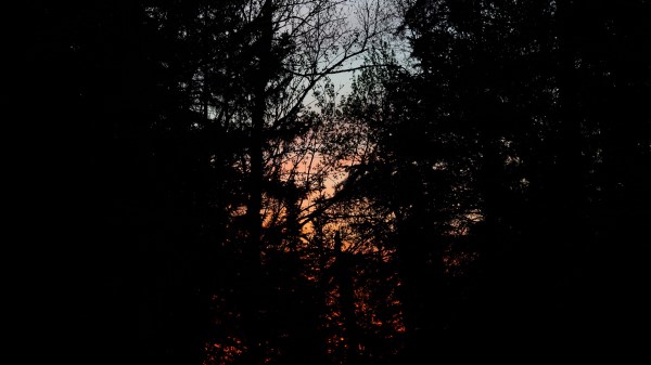 Trees Branches Sunset Image Wallpaper