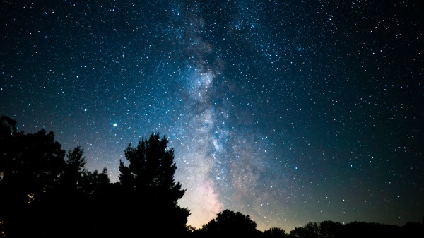 Trees Bushes Nebula Wallpaper