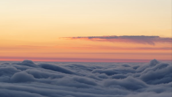 Trees Clouds Horizon Wallpaper