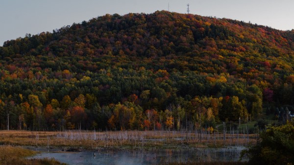 Trees Colorful Lake Wallpaper